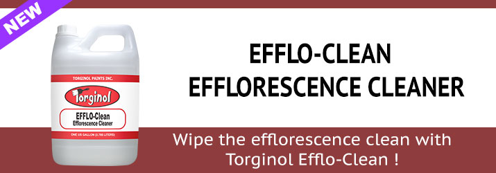 EFFLO-CLEAN EFFLORESCENCE CLEANER - Torginol Paints Inc.